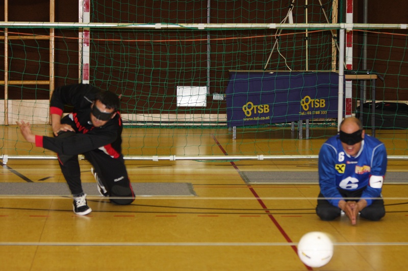 absv 2013 (2).JPG