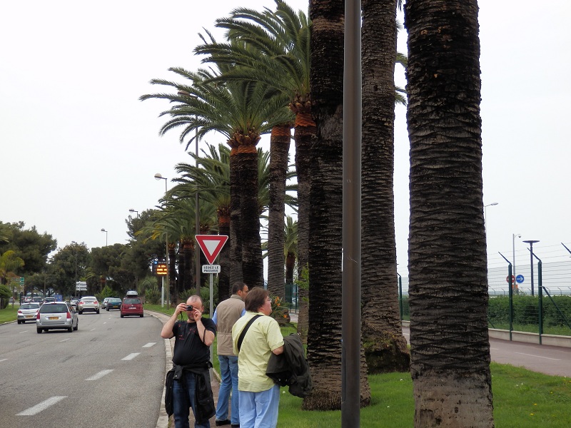 nizza (29).JPG