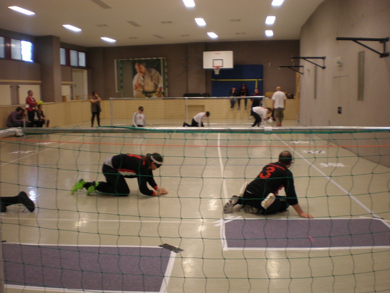 LA Wien 2012 (20).JPG