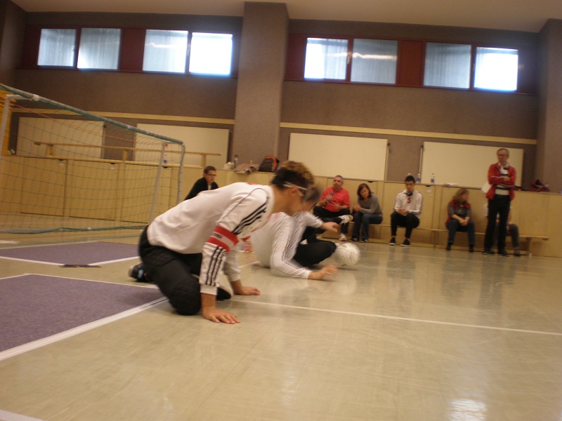 LA Wien 2012 (46).JPG